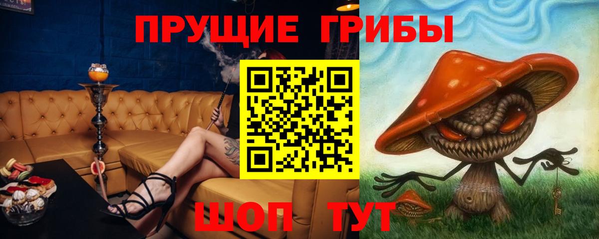 Псилоцибиновые грибы Psilocybine cubensis  Вход с VPN  Набережные Челны 