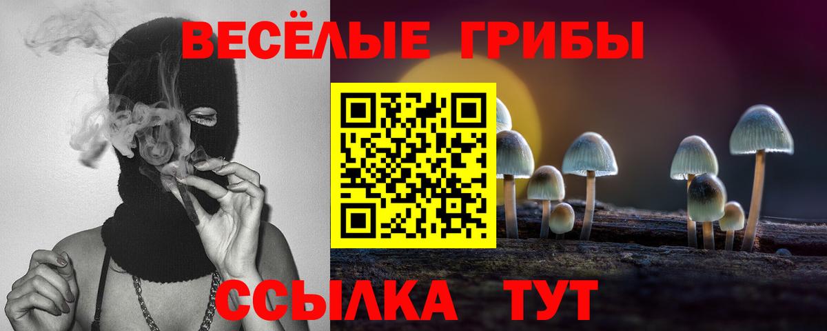 Псилоцибиновые грибы Psilocybine cubensis Набережные Челны